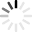 Preview: Reis Protein